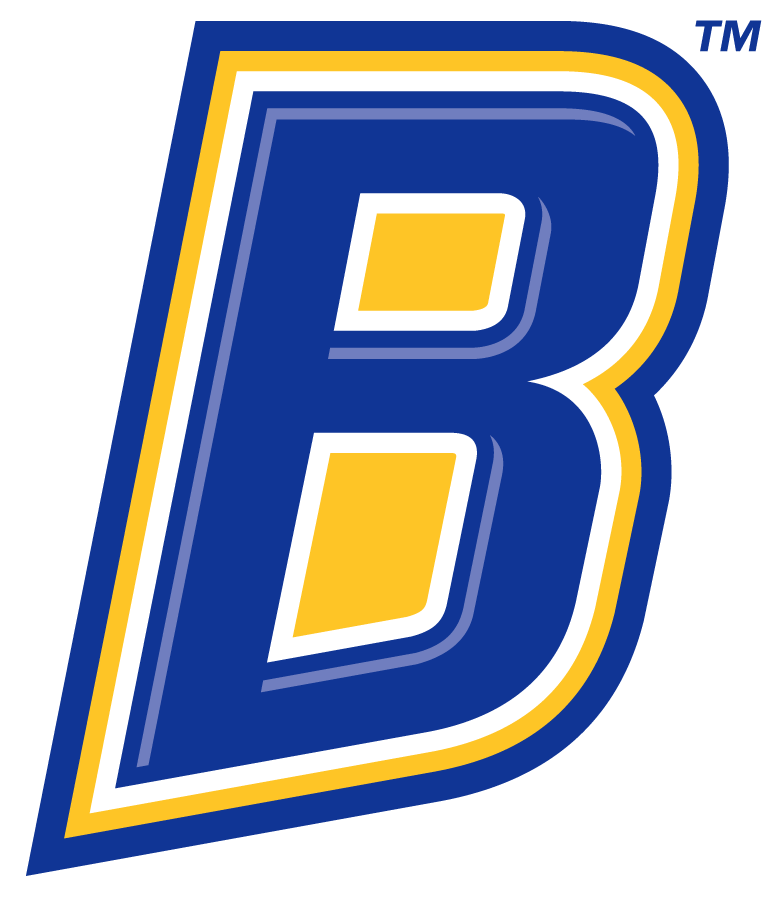 CSU Bakersfield Roadrunners 2019-Pres Secondary Logo iron on transfers for T-shirts